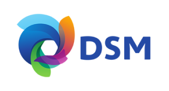 DSM